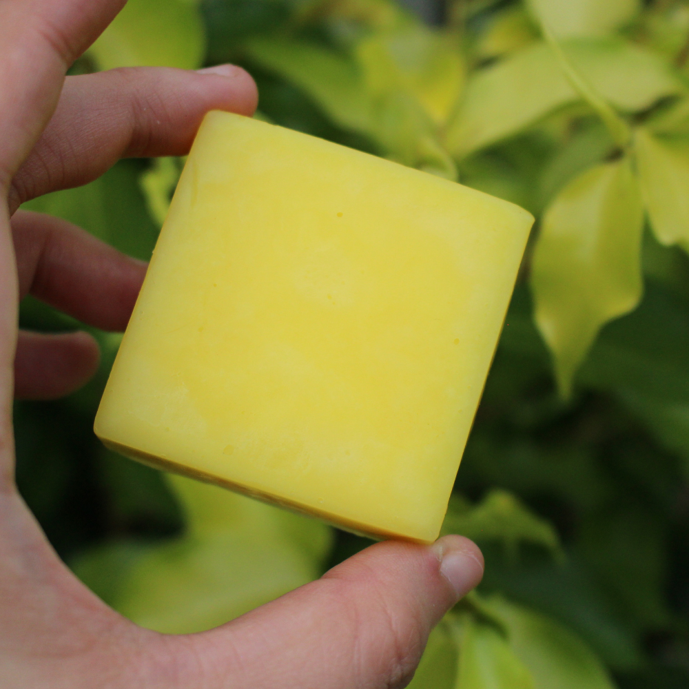 Banana + HoneyMilk - Conditioner Bars ( 50g )