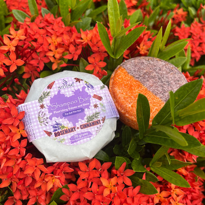 VOLUME BOOST DUO - Shampoo and Conditioner Set