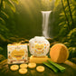 MOISTURE LOCK DUO - Shampoo and Conditioner Set